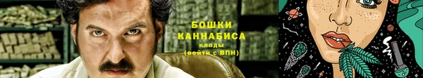 дмт Богородск