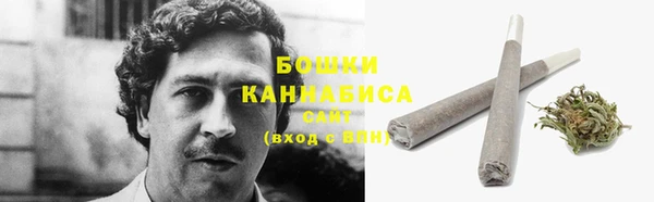 дмт Богородск
