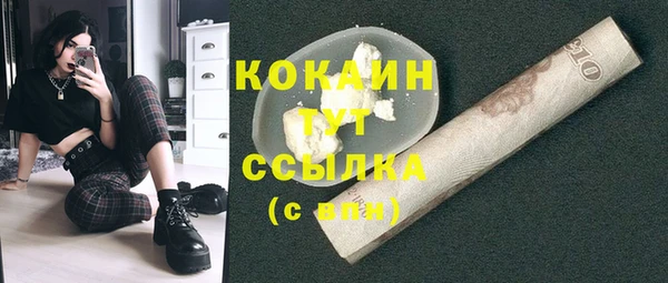 дмт Богородск