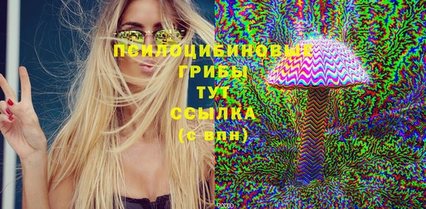 бутират Богородицк
