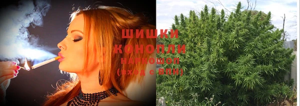 дмт Богородск