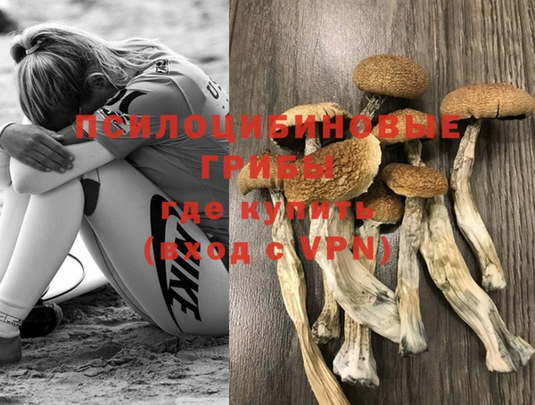 бутират Богородицк