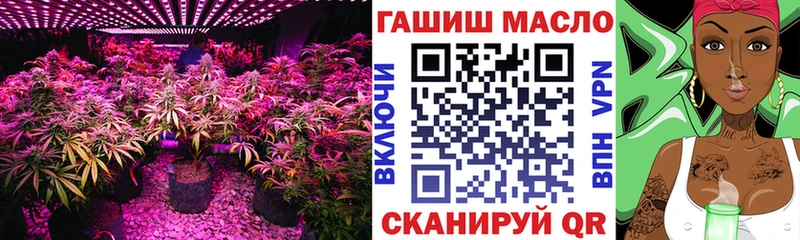 ТГК вейп Окуловка