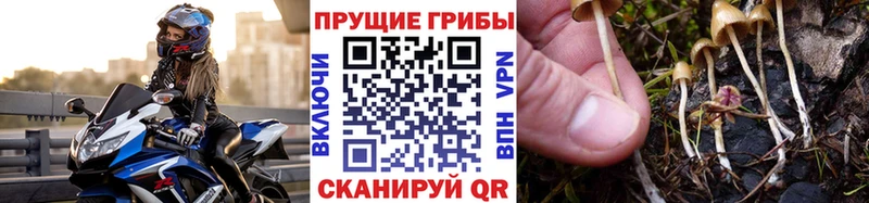 Псилоцибиновые грибы MAGIC MUSHROOMS  Окуловка 